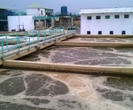 Nhận vận hành trọn gói