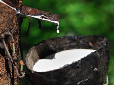 Xử lý nước thải cao su 